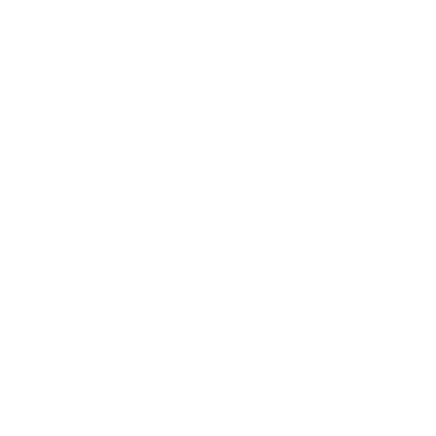 BIDF_logo_Heino_wit.png